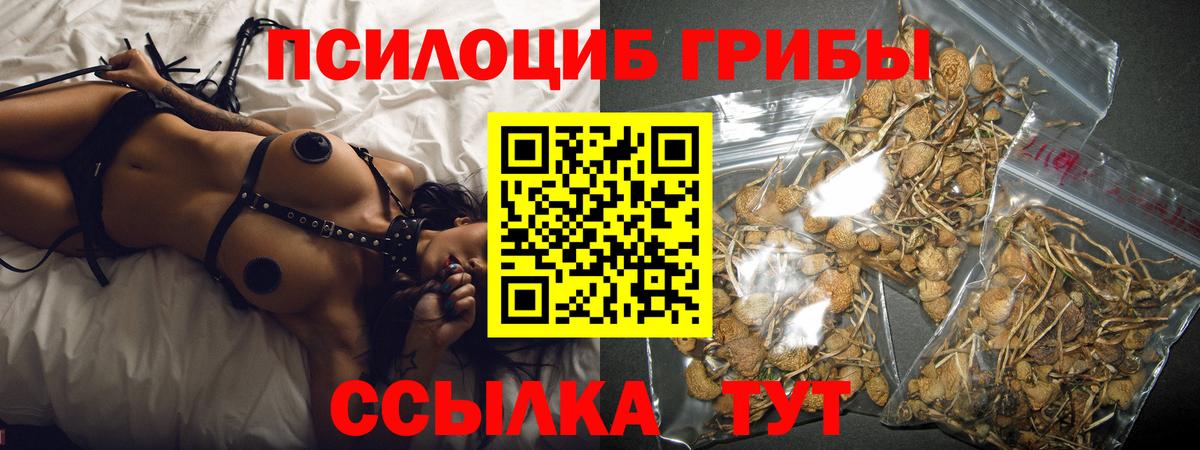 Псилоцибиновые грибы мицелий Туапсе